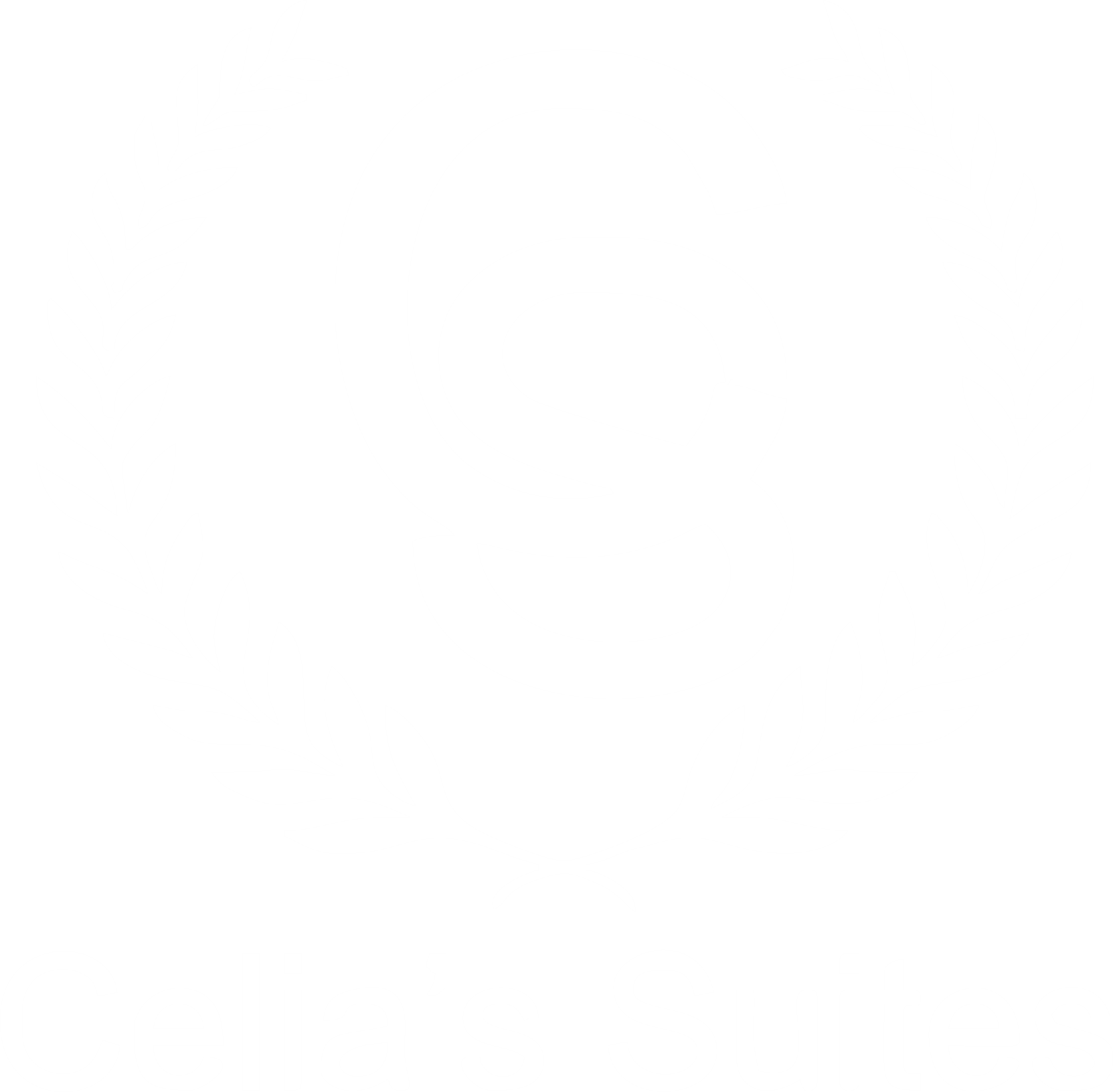Celia's Suites logo